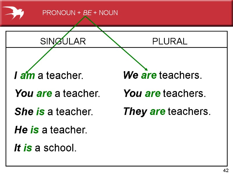 42 SINGULAR   I am a teacher. You are a teacher. She is